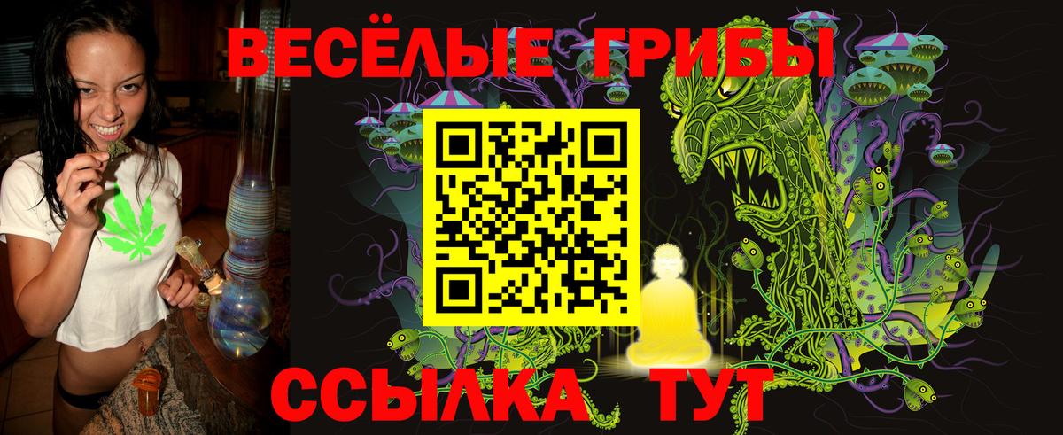 Галлюциногенные грибы Psilocybe  Вход с VPN  Кировск  Галлюциногенные грибы мухоморы 